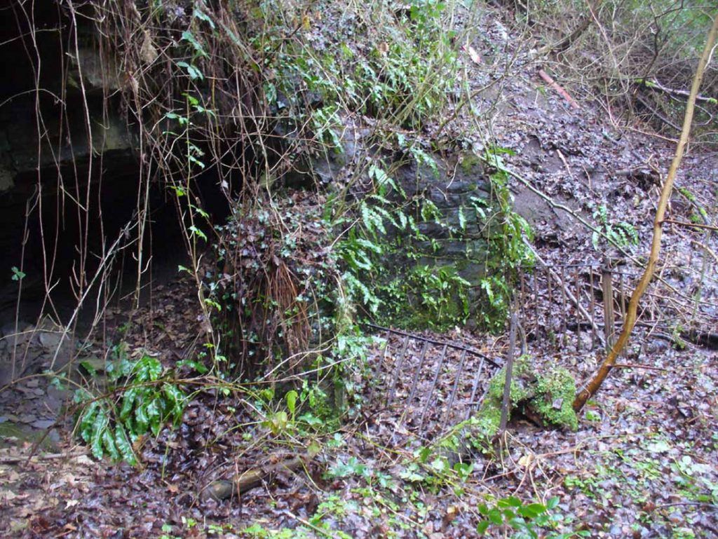 Borgie Well, Cambuslang, Lanarkshire