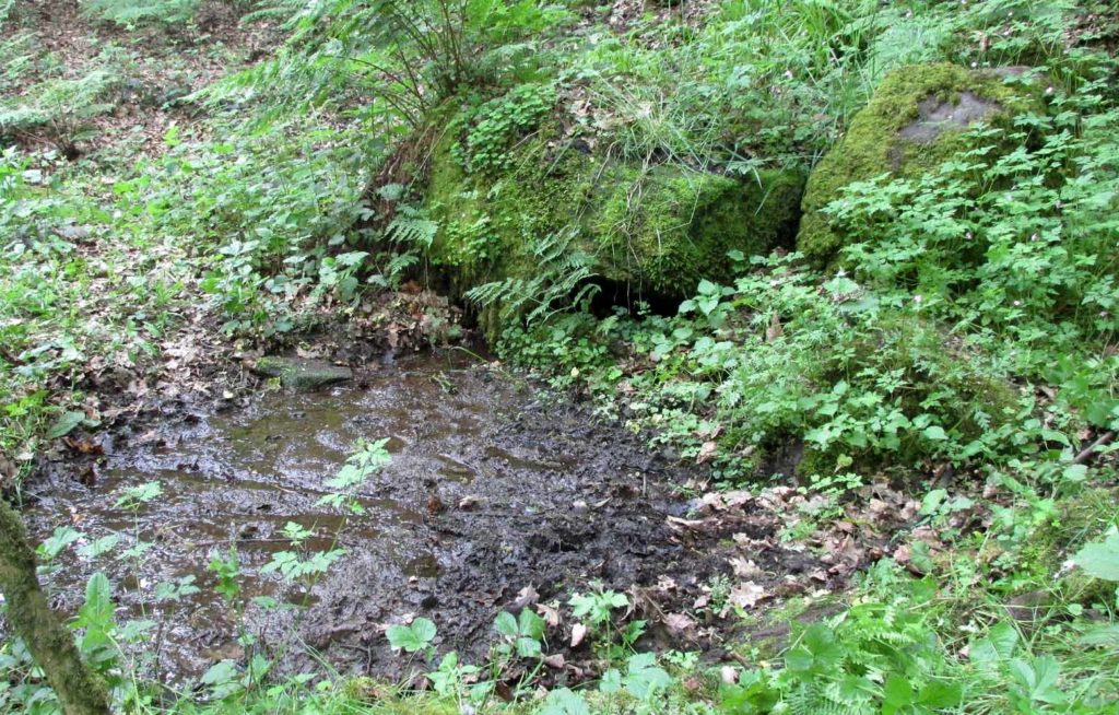 Wood Well, Shipley Glen, Gilstead, West Yorkshire