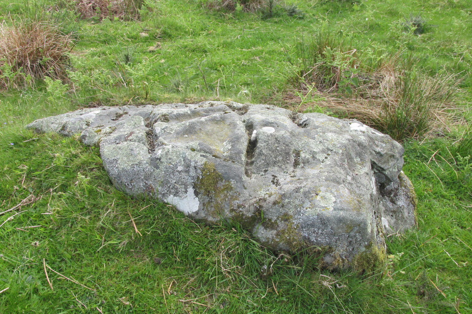 Wester Glentarken (2), St Fillans, Comrie, Perthshire